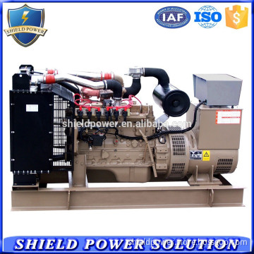 Hotel Use 250KVA CNG Fuel Powered Generator Set CNG Generators